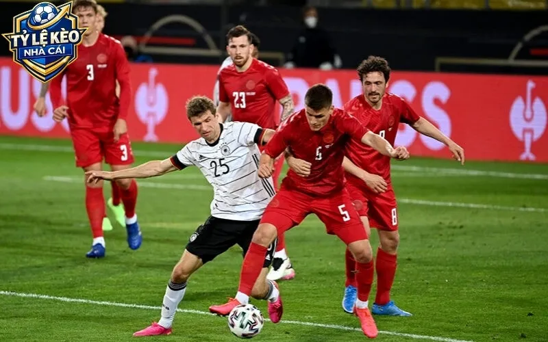 Cách đọc các loại tỷ lệ kèo nhà cái phổ biến hiện nay