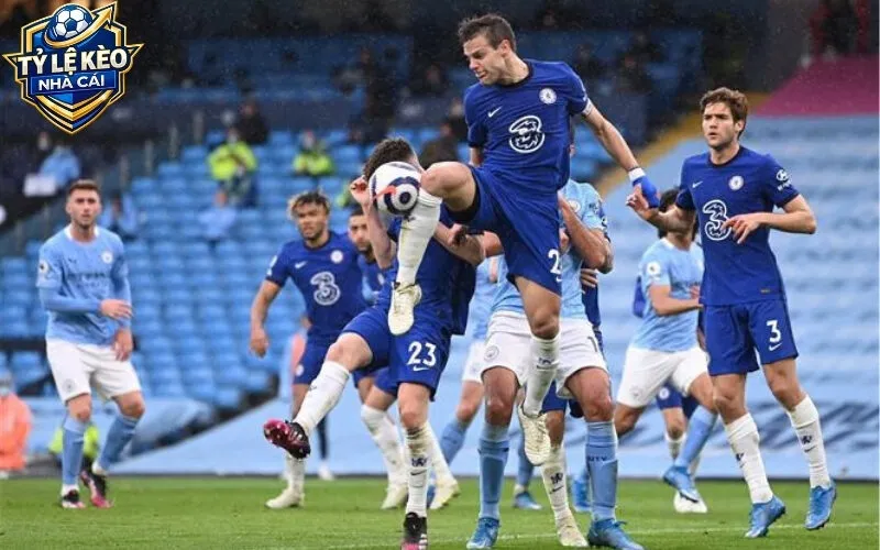 Giới Thiệu tylekeonhacaii